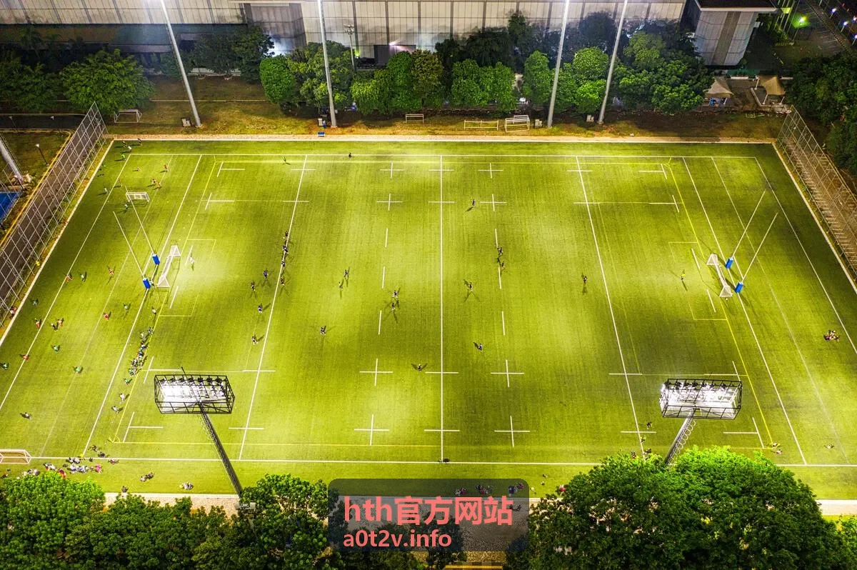 hth官方网站 服务支持封面